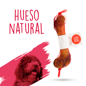 SERVICIOS VETERINARIOS A DOMICILIO 14