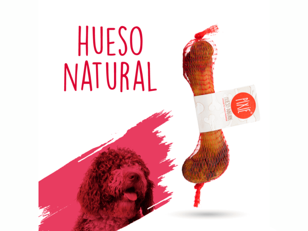 SERVICIOS VETERINARIOS A DOMICILIO 14