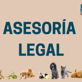 ASESORIA LEGAL