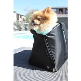 Perrito