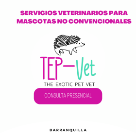 SERVICIOS VETERINARIOS A DOMICILIO 10