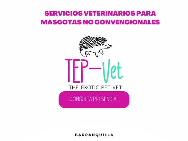 SERVICIOS VETERINARIOS A DOMICILIO 10