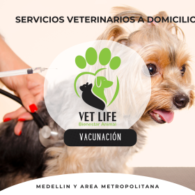 SERVICIOS VETERINARIOS A DOMICILIO