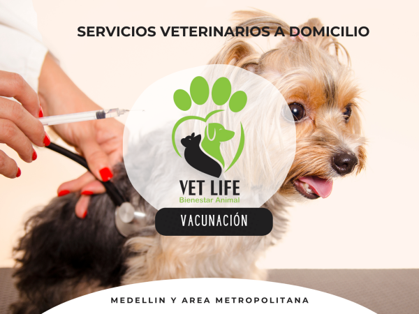 SERVICIOS VETERINARIOS A DOMICILIO