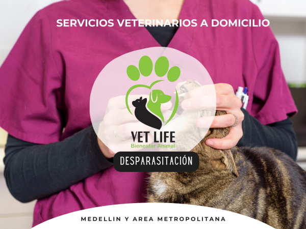 SERVICIOS VETERINARIOS A DOMICILIO 8