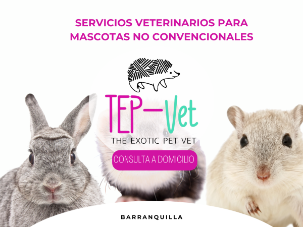 SERVICIOS VETERINARIOS A DOMICILIO 9