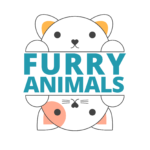 Furry Animals