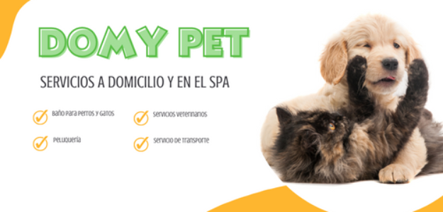 DomyPet Centro Veterinario