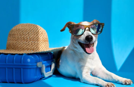 Vacaciones