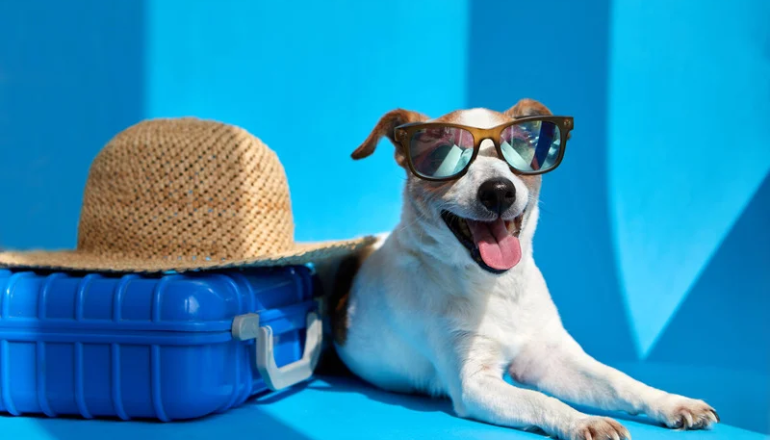 Vacaciones