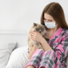 Alergia gatos
