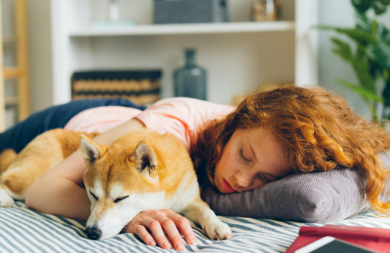 Dormir con tu perro