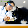 Examenes de laboratorio