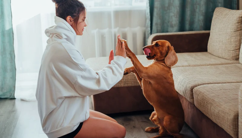 Los beneficios emocionales de tener una mascota en tu vida