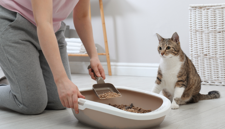 Consejos para una limpieza efectiva del arenero de tu gato