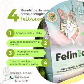 FELINECO