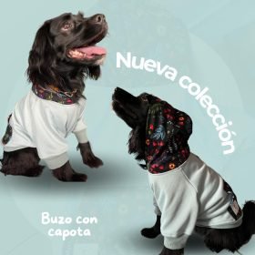Imagen de WhatsApp 2024 05 06 a las 17.42.39 e879c323 1