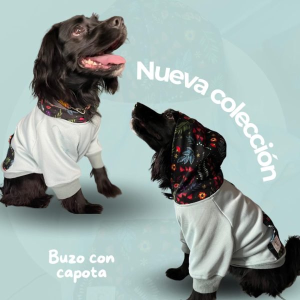 Imagen de WhatsApp 2024 05 06 a las 17.42.39 e879c323 1