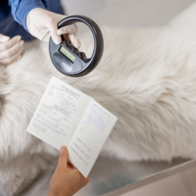 Microchip