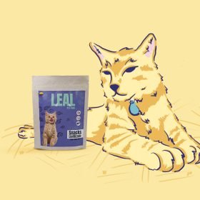 Gato snacks 02 1 scaled