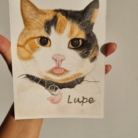 Retrato mascota