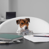Día del Trabajo Los Animales que Trabajan para Mejorar Nuestras Vidas