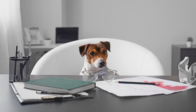 Día del Trabajo: Los Animales que Trabajan para Mejorar Nuestras Vidas