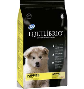 Equilibrio Cachorro Razas Medianas – Guru4pets