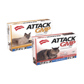 Attack Gatos – Antipulgas Guru 4 Pets