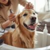 IMAGEN PARA CREAR UN PRODUCTO LLAMADOSERVICIO Baño y Peluquería Canina a Domicilio -EN CASA- SOLO IMAGEN SIN LEYENDA QUE SE REFLEJE QUE ES EN CASA QUE SE VEA QUE LE ESTAN CORTANDO PELO EN CASA