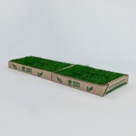 Two long cardboard boxes opened to reveal rectangular patches of green turf for artificial grass, labeled PIP Grass, laid side by side on a white surface.