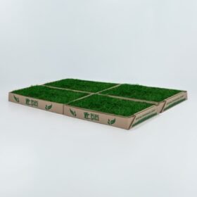 Four square patches of green sod arranged in a shallow cardboard tray, forming a 2x2 grid for easy transport. (Pip Grass)