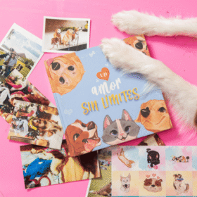 Flat lay: blue dog-themed book titled 'amor sin límites' on a pink surface, surrounded by dog photos and fluffy white paws around it.