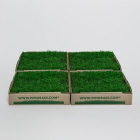 Four boxes of green artificial turf arranged in a 2x2 grid, with 'www.pipigrass.com' printed on the sides.