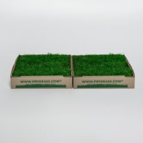 Two green artificial grass samples in open-top cardboard boxes labeled www.pipigrass.com on a white background.
