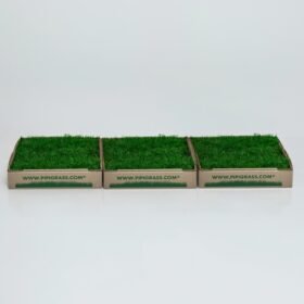 Three side-by-side trays of green artificial grass with Pipigrass branding on the boxes.