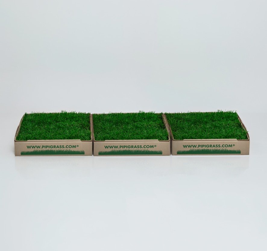 Three side-by-side trays of green artificial grass with Pipigrass branding on the boxes.