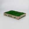 Rectangular cardboard tray filled with bright green artificial grass turf, labeled PIP grass on the side.