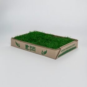 Rectangular cardboard tray filled with bright green artificial grass turf, labeled PIP grass on the side.