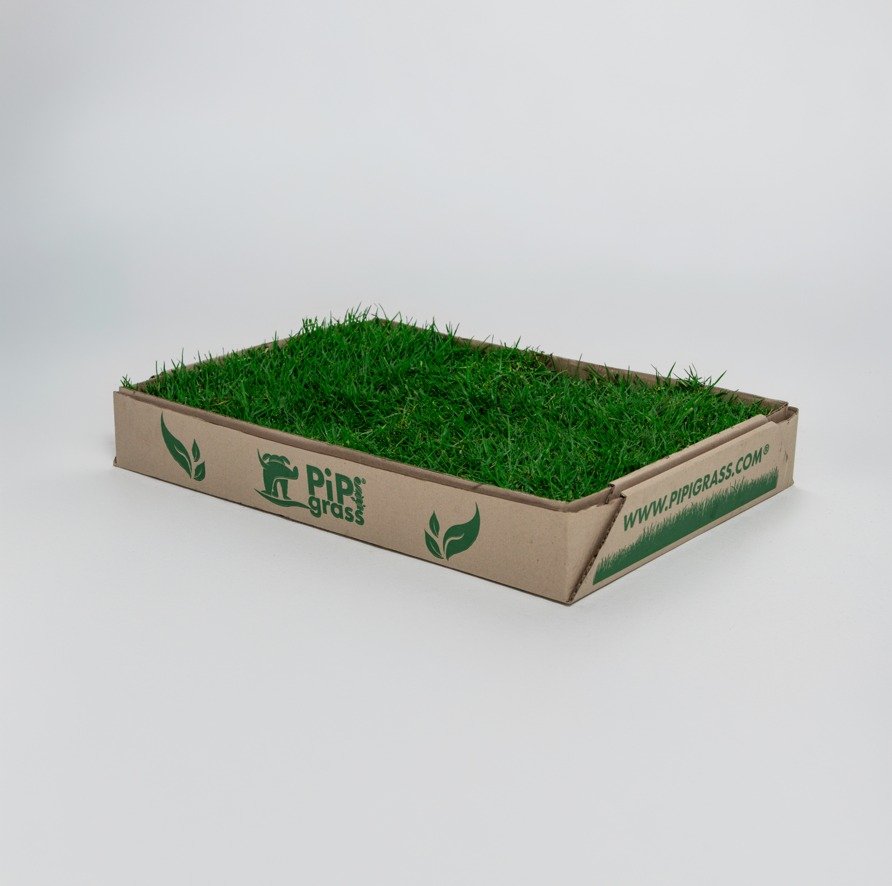 Rectangular cardboard tray filled with bright green artificial grass turf, labeled PIP grass on the side.